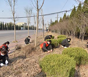 心博(中国)青年文明号义务打扫周边环境